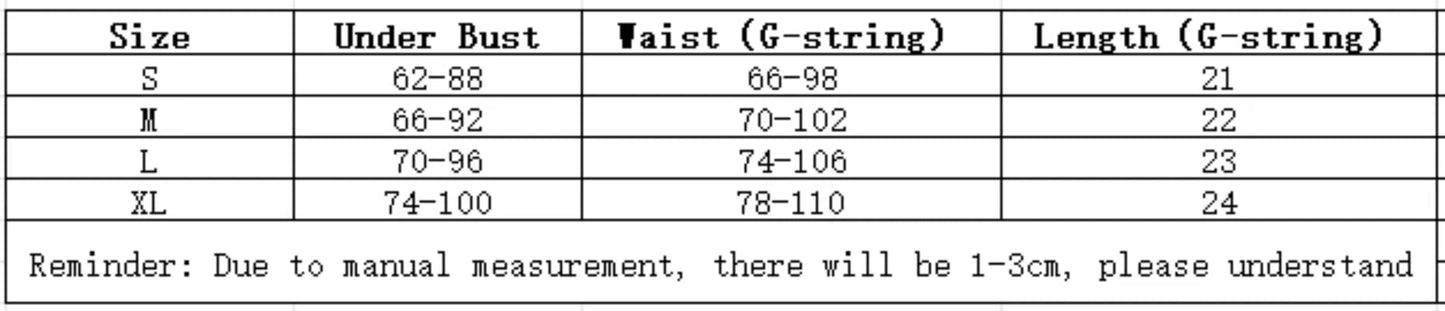 Fairy Lingerie Floral Valentine Charming Brief Panty Underwear Sexy Nighty Fancy V Underwear Brief Set for Lady  See Through Bra