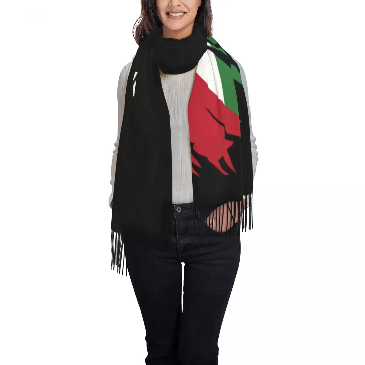 Palestines Flag Tassel Scarf Women Soft Palestinians Patriotic Shawl Wrap Ladies Winter Fall Scarves